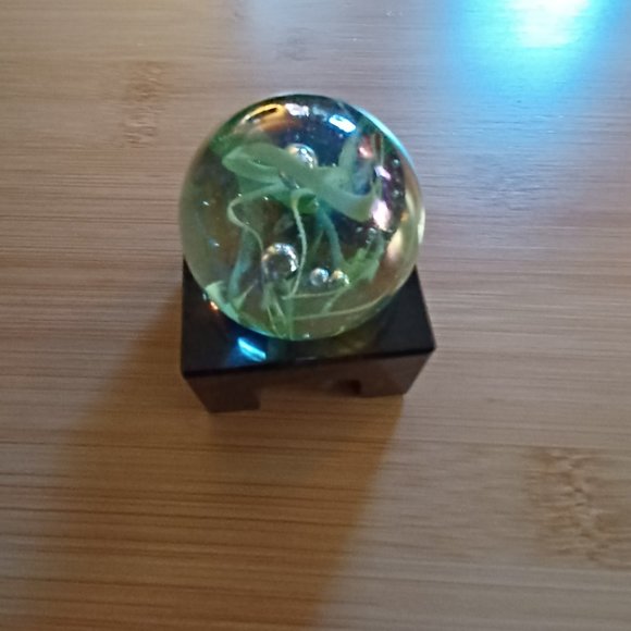 Glass paperweight - Picture 2 of 5